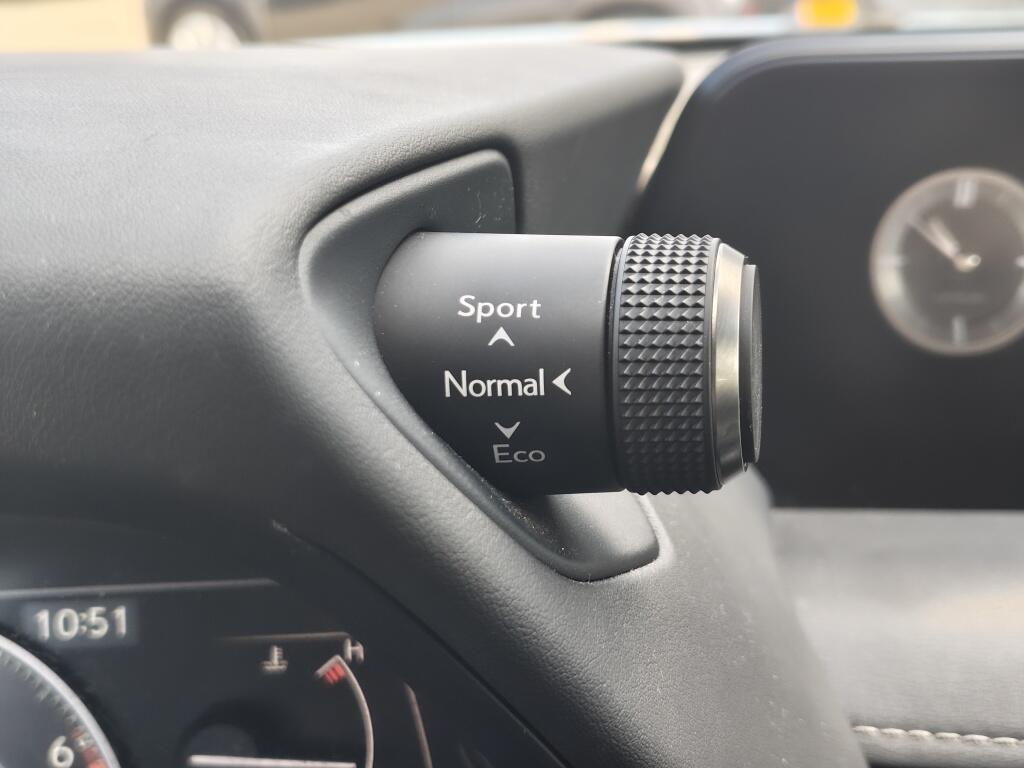 Lexus UX 250h Luxury Line | Leer | Android Auto | All Seasons | Navi | Bl - Image 10
